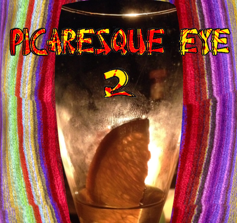 PICARESQUE EYEの表紙